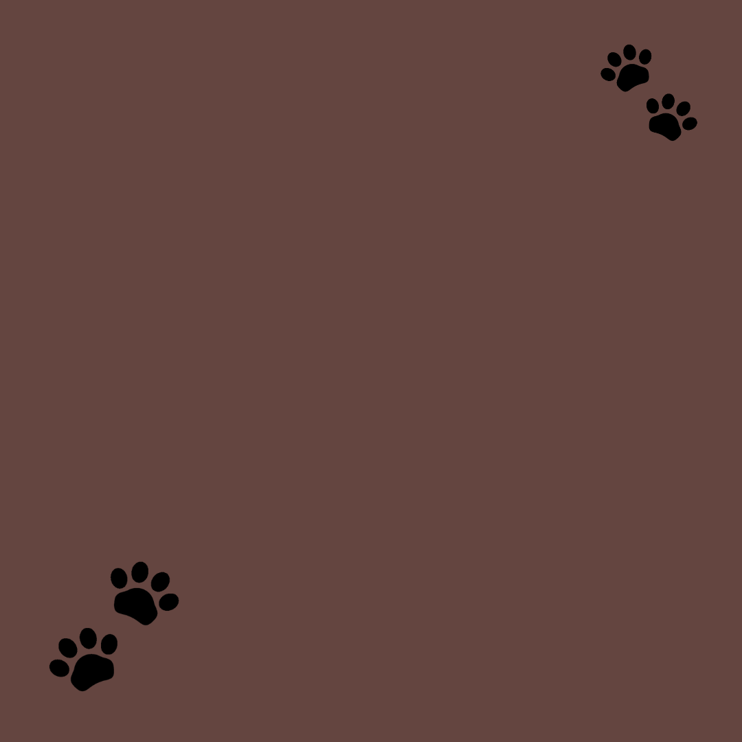 Dog paw prints on a brown background