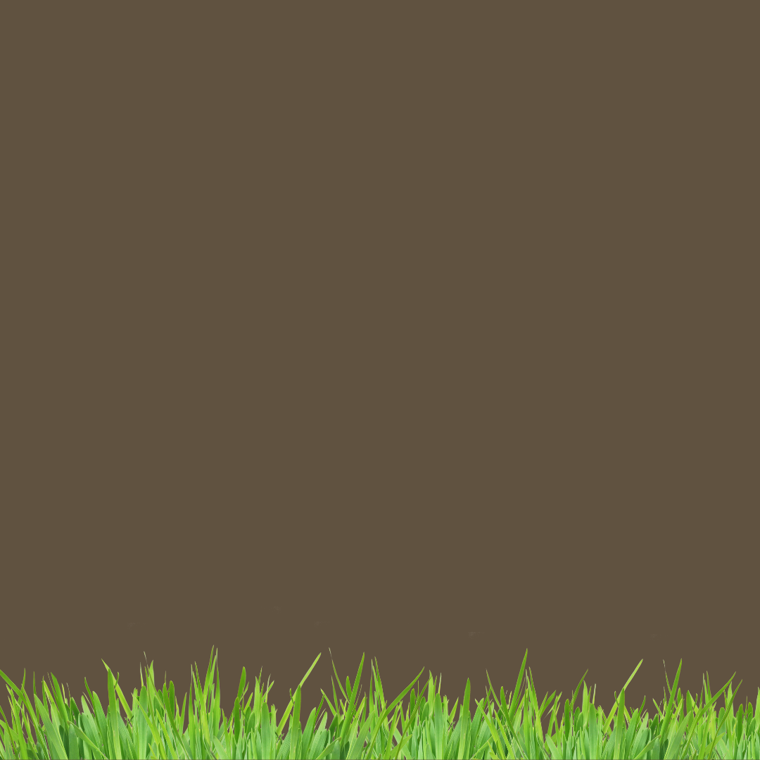 Brown background with grass along the bottom