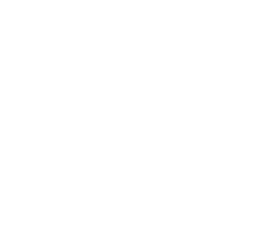Houses asset
