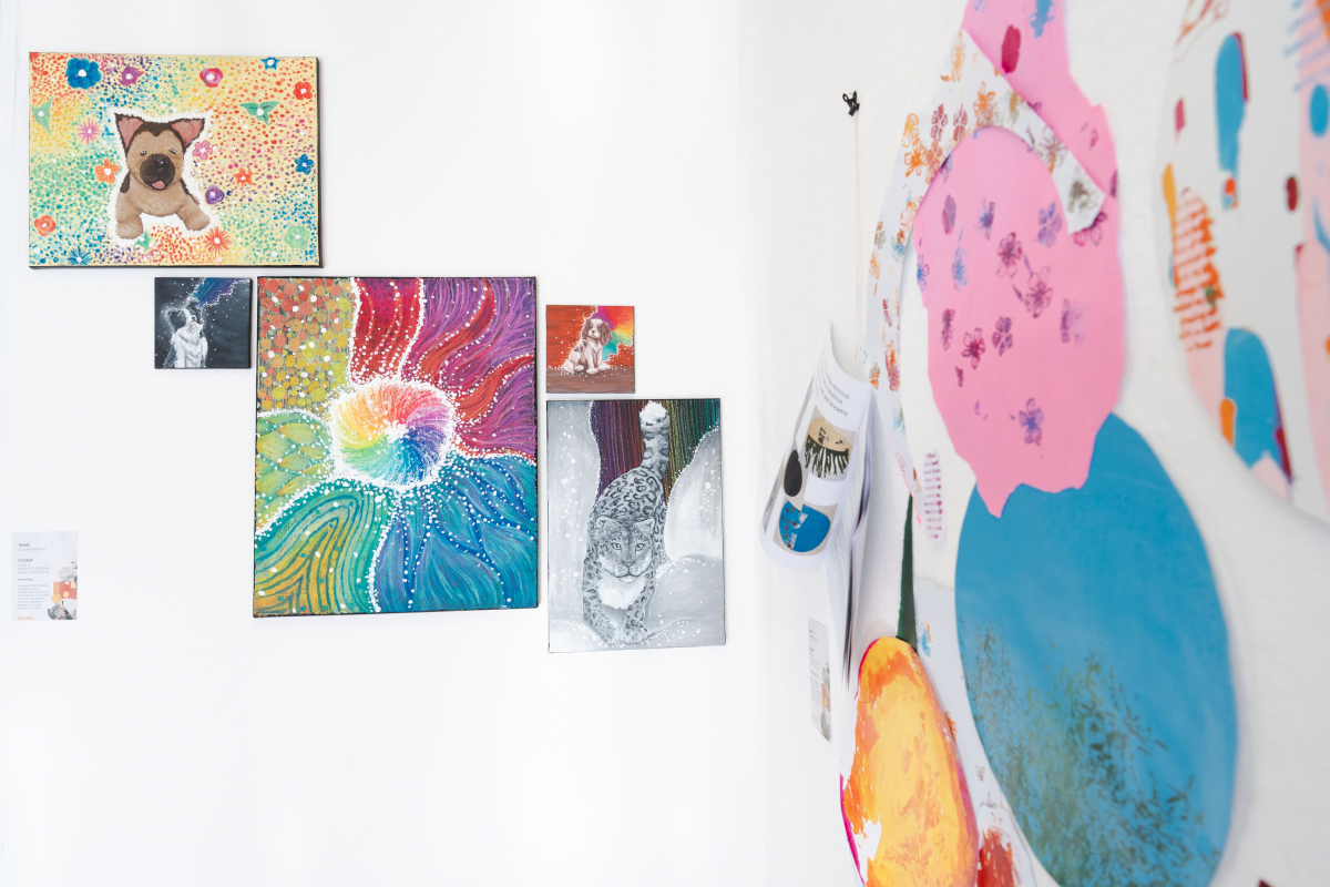 Colourful paintings on the wall