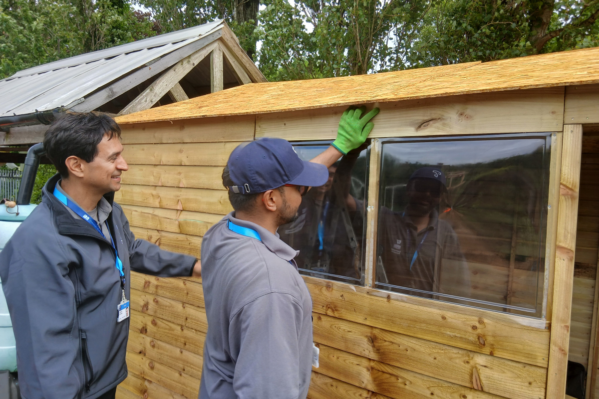 Construction Professions Staff Building Shed