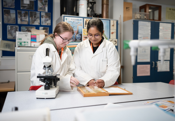 Course image 1
