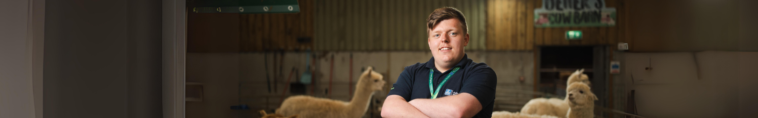 animal management student, declan, standing in front of alpaca pen