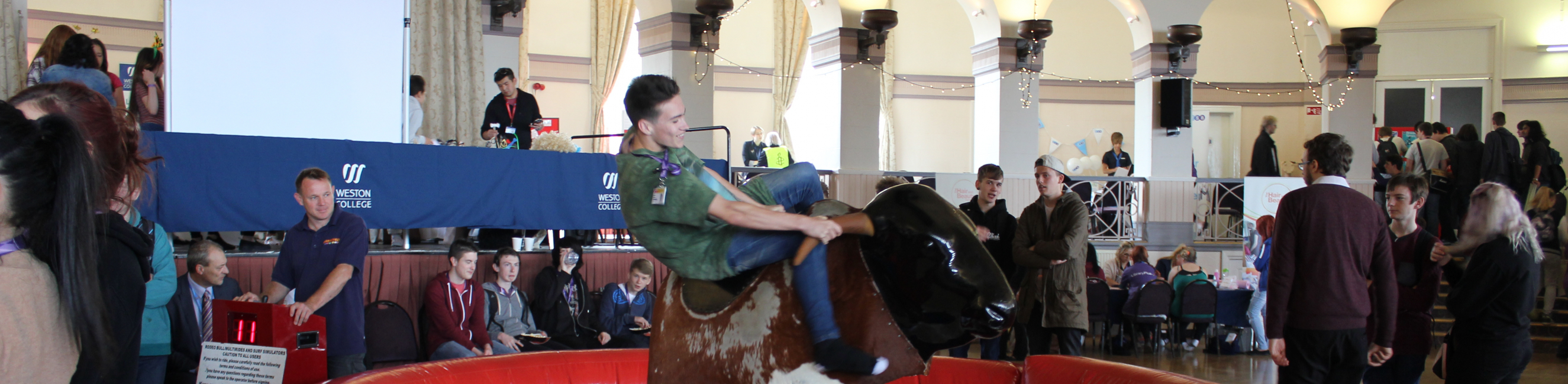 Rodeo Bull Image