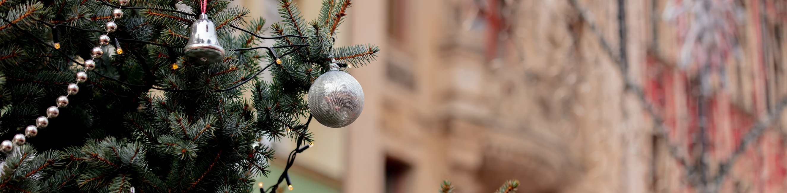 Christmas tree at Christmas Market