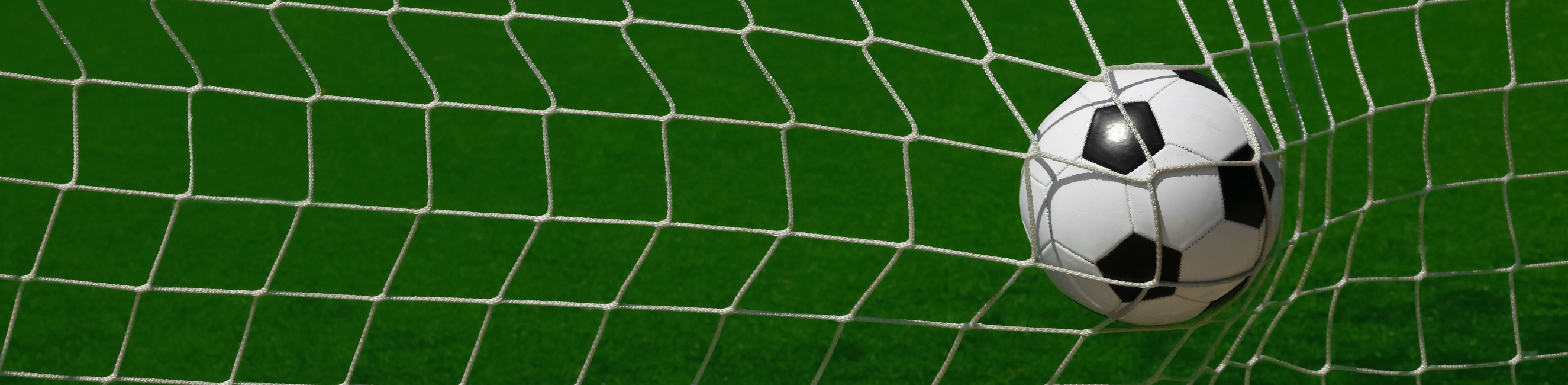 Football hitting the back of the net