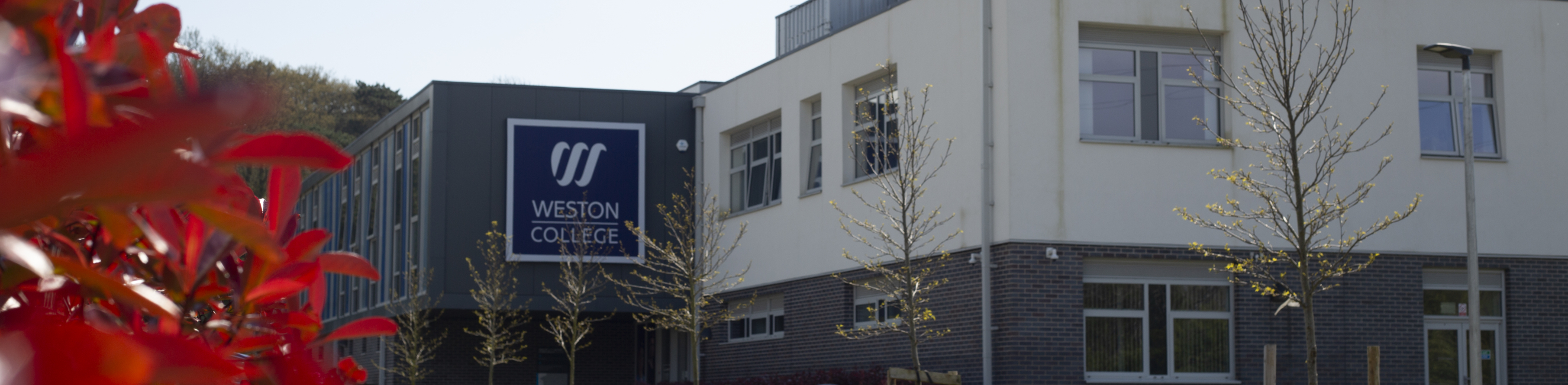 Health and Active Living Skills Centre