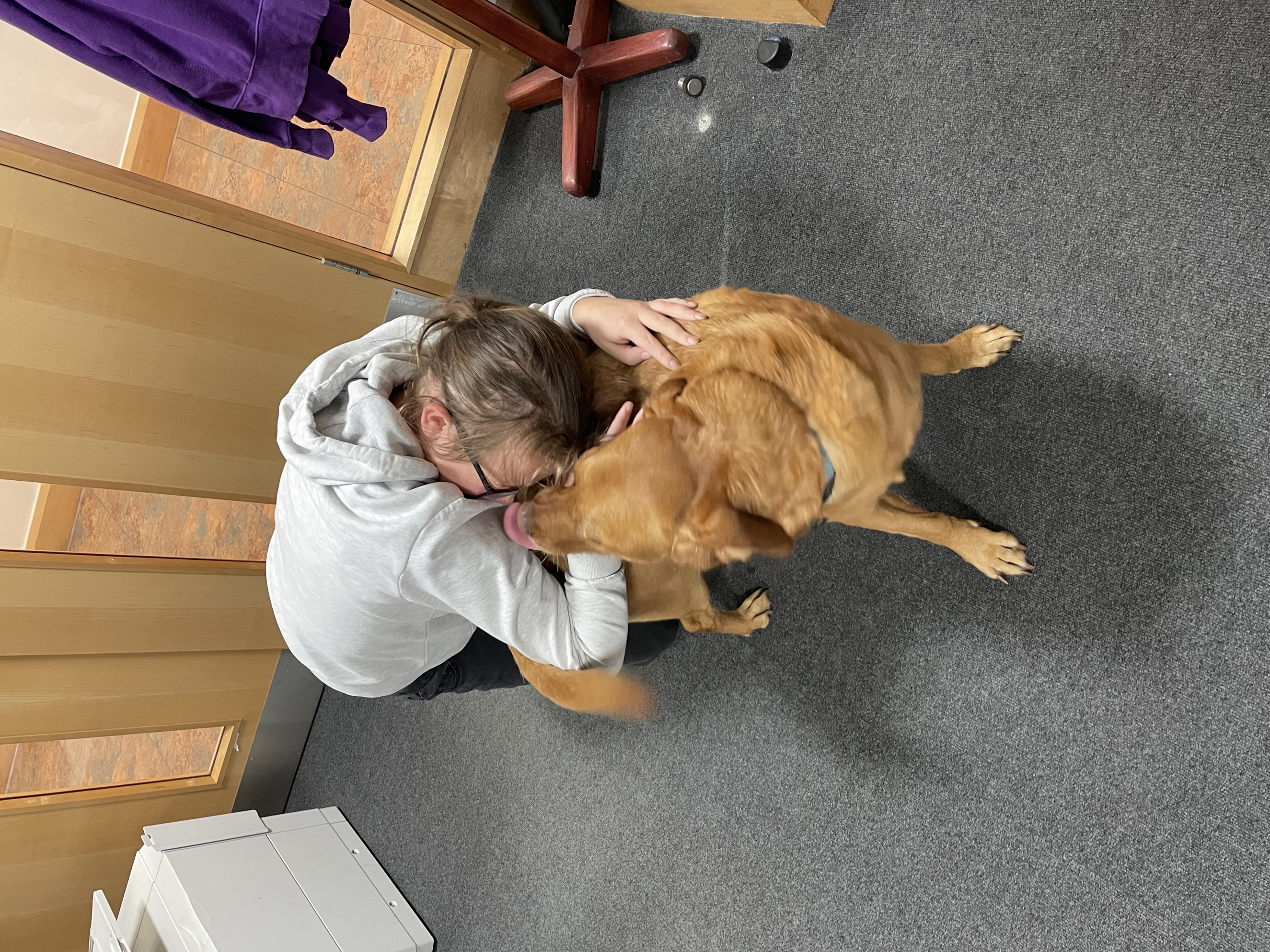 Paws 4 Thought Days at Wellbeing Week