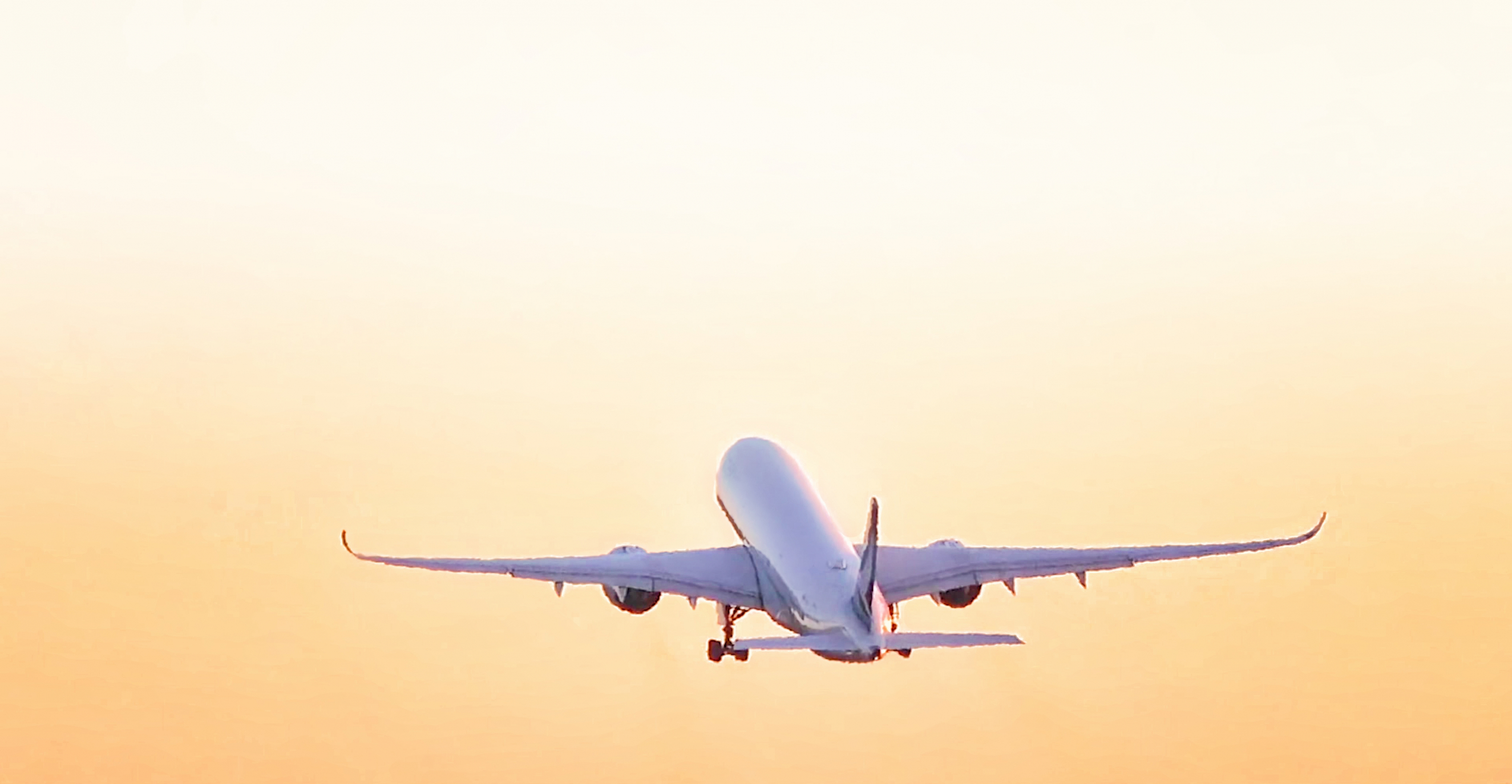 Airplane in the sky