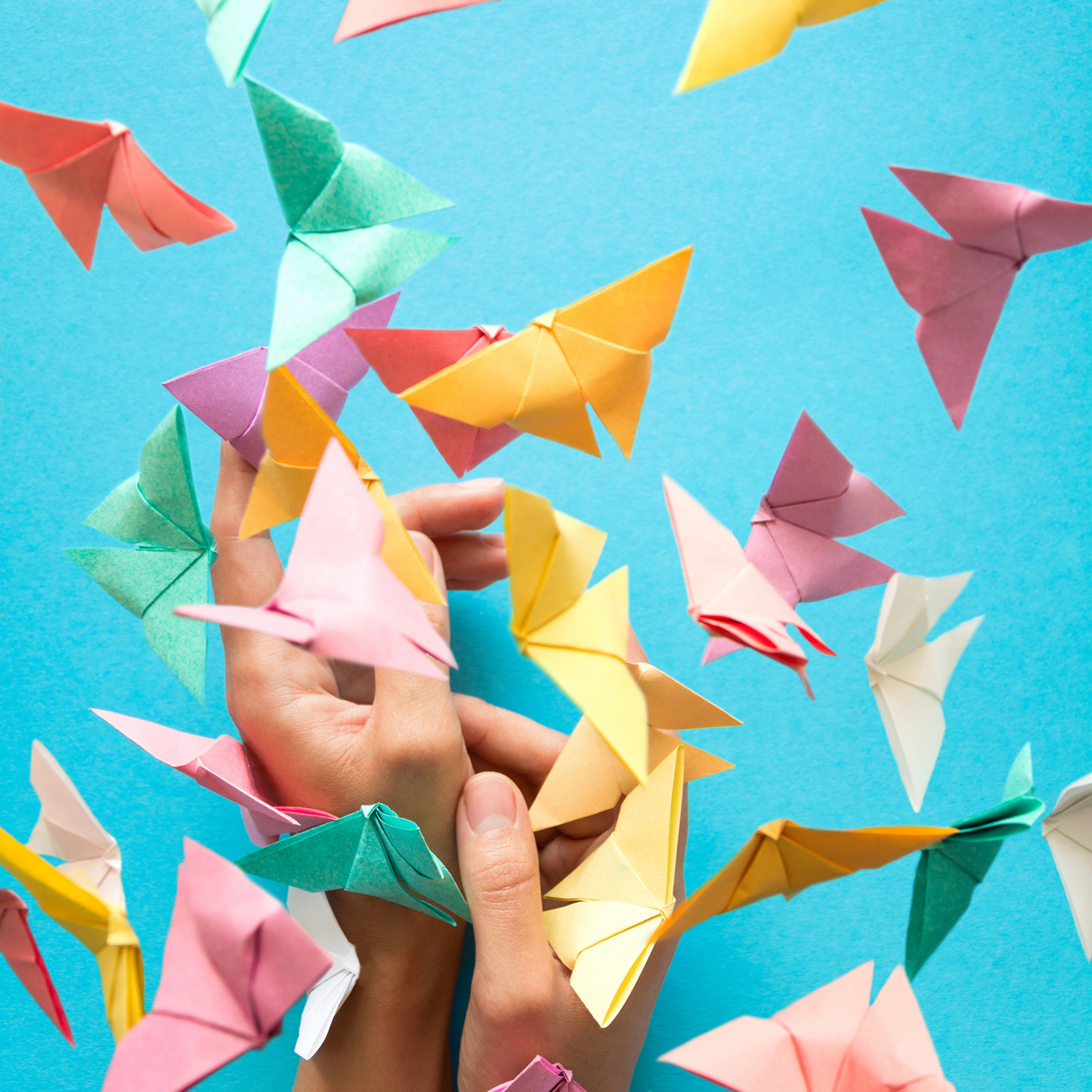 Butterflies flying over hands