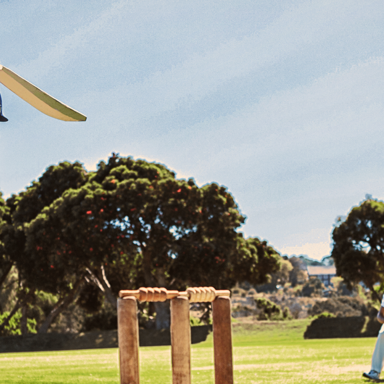 Two people playing cricket