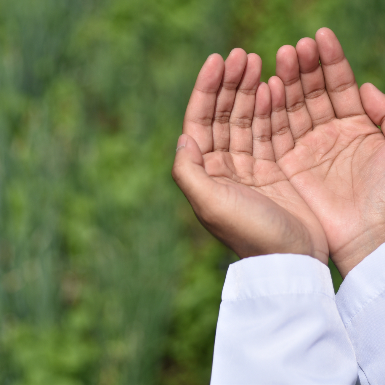 Two hands together praying