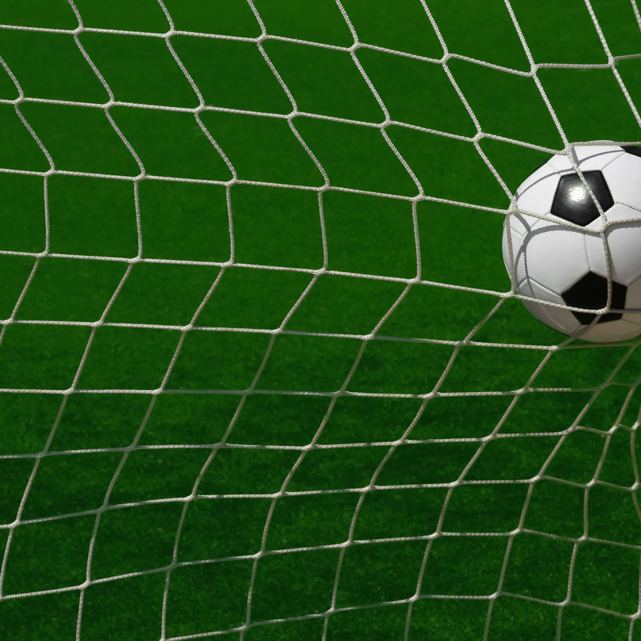 Football hitting the back of the net