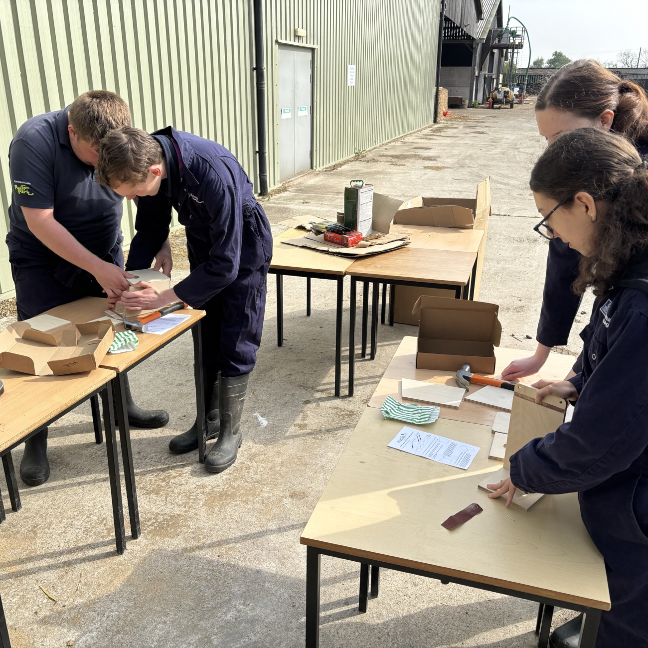 Students designing their birdhouses