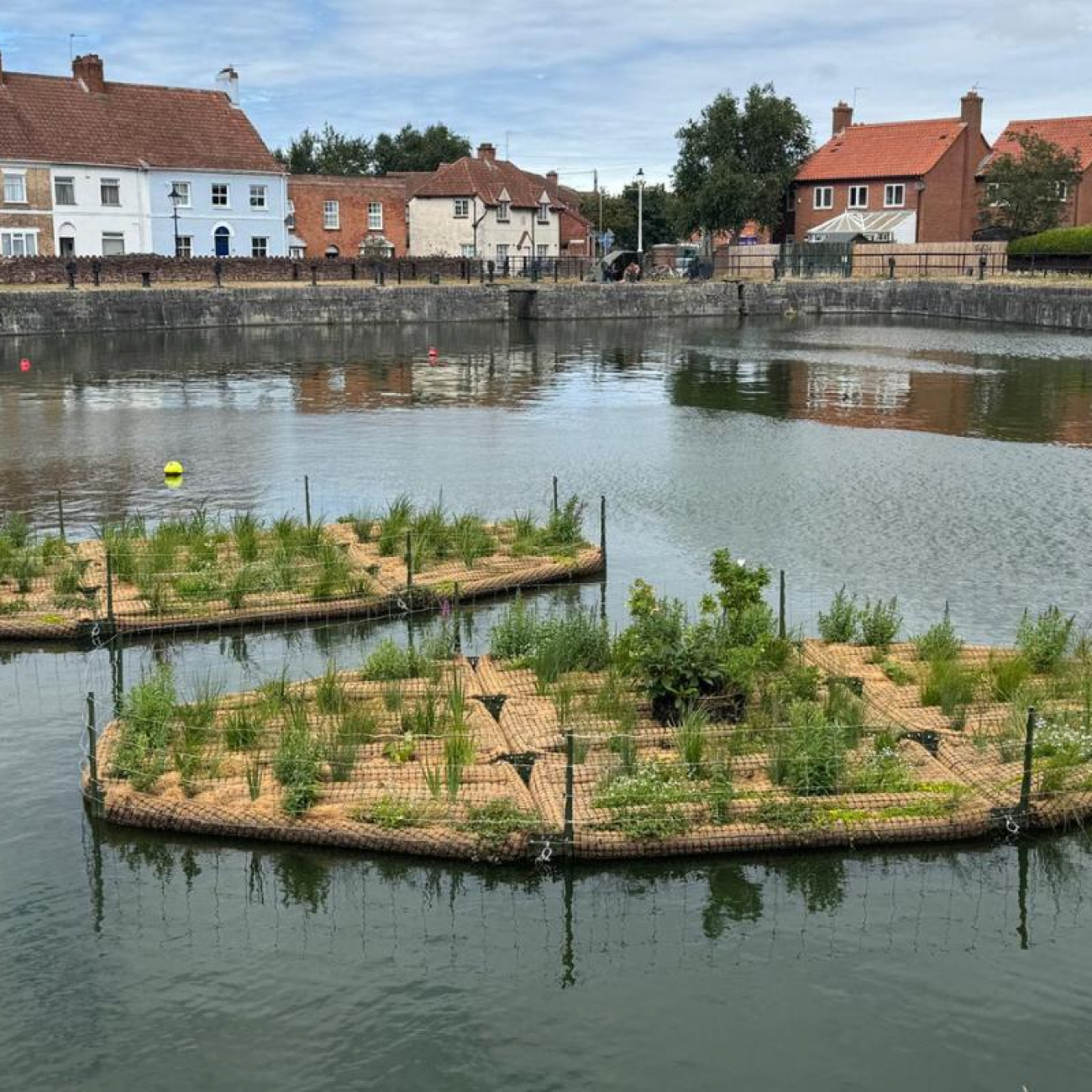 Floating Dock with Shrubs on 