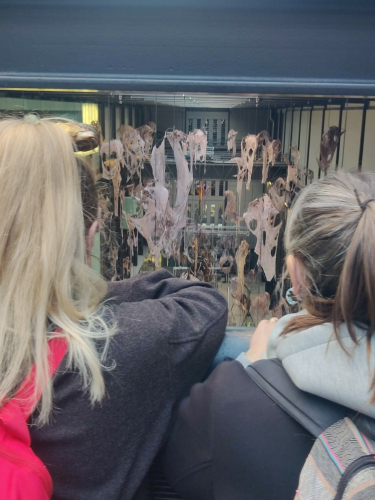 The back of lecturers, Ronnie and Kelly's heads looking at artwork