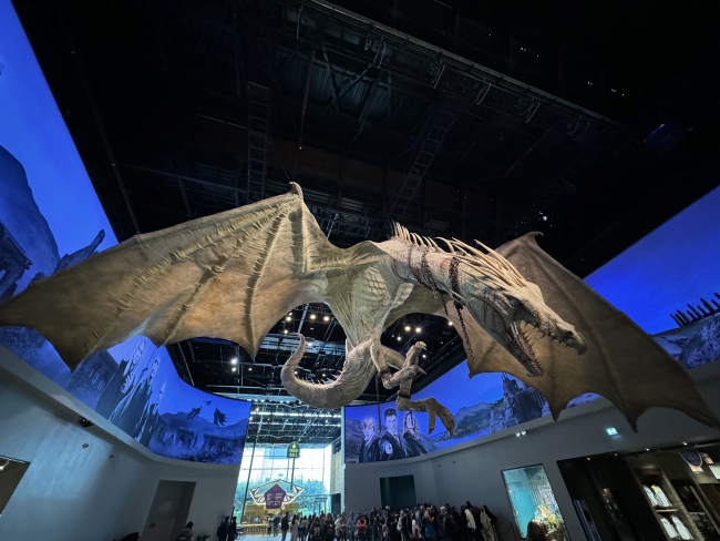 harry potter studios dragon