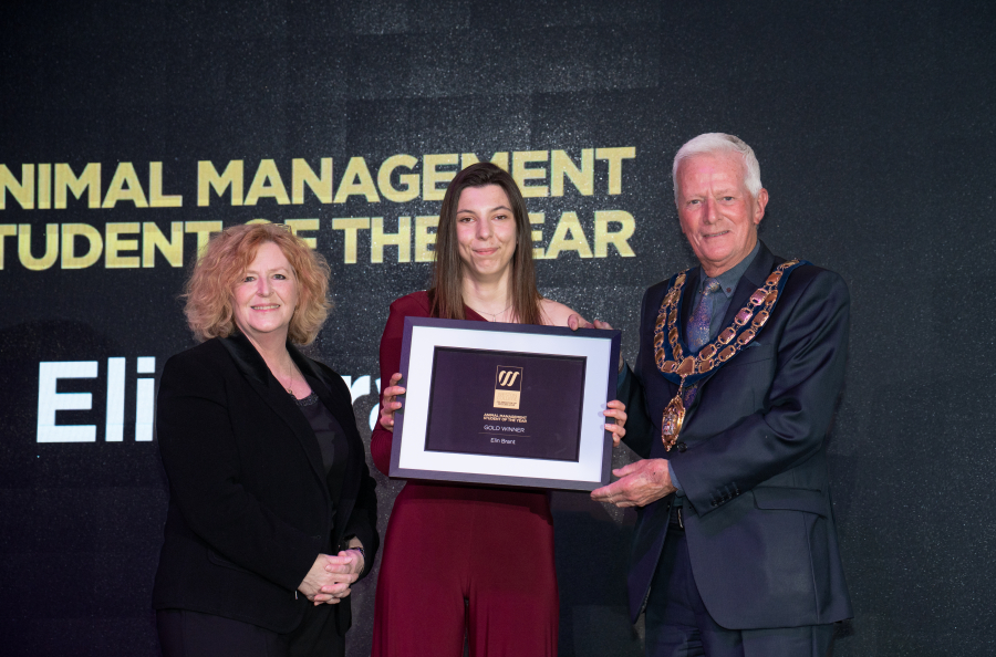 Elin collecting award