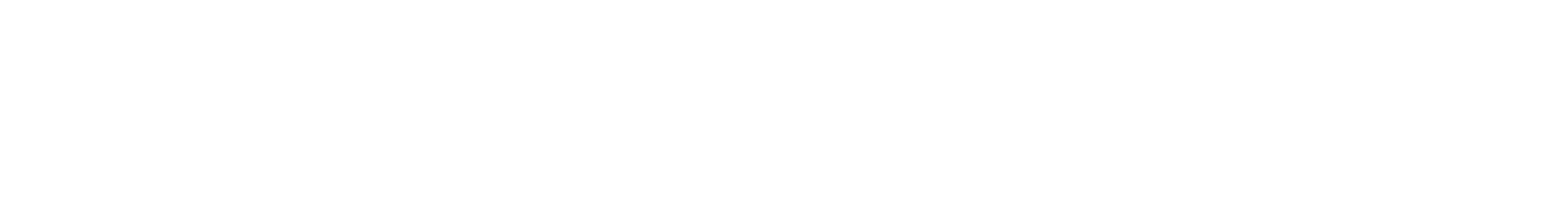 Synoptix logo
