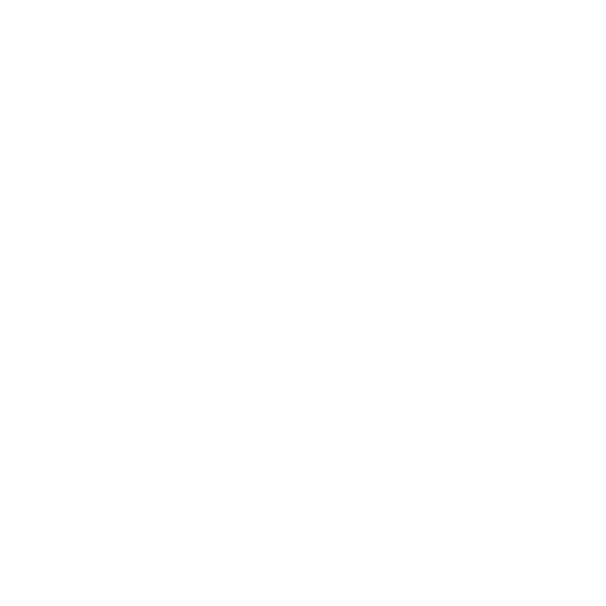 AFC weston super mare badge