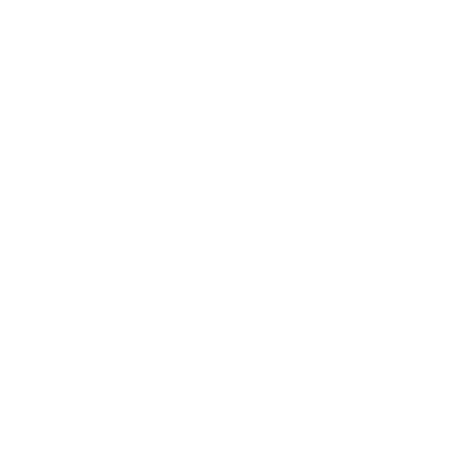 Pause icon